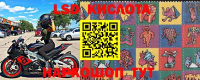 Альфа ПВП Бийск