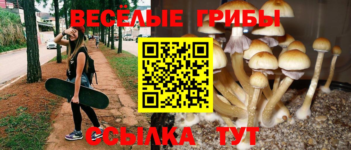 МАРИХУАНА Шатура