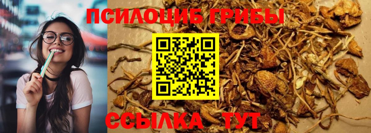 Шатура  Галлюциногенные грибы GOLDEN TEACHER  Вход с VPN 