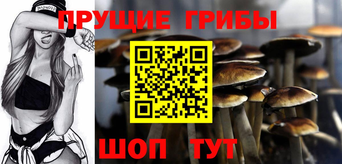 Псилоцибиновые грибы мухоморы Шатура